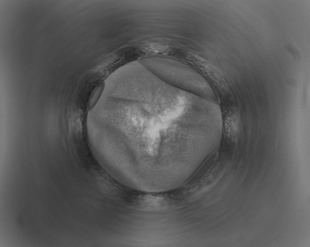 X0000116300570200912291434