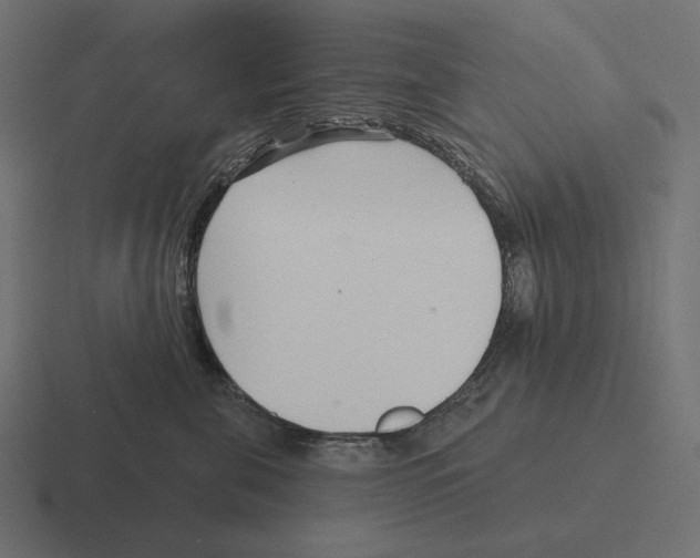 X0000116300571200912291434