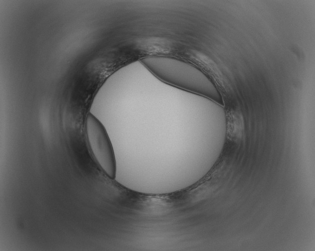 X0000116300573200912291434