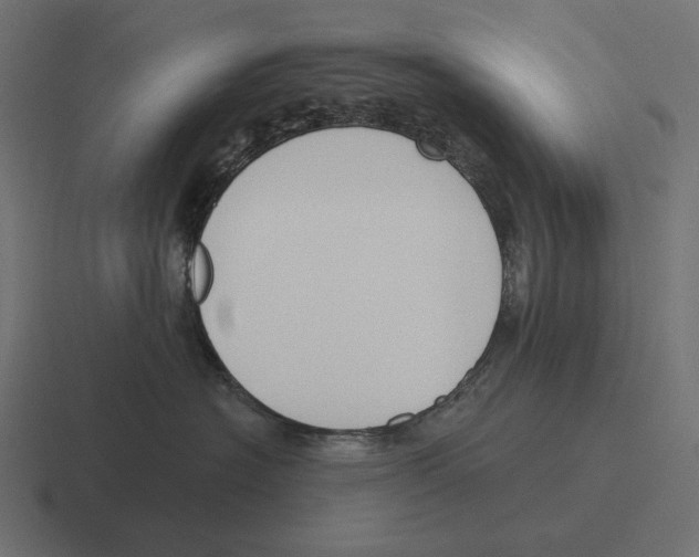 X0000116300574200912291434