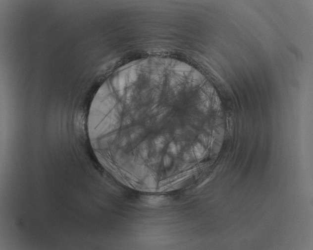 X0000116300575200912291434