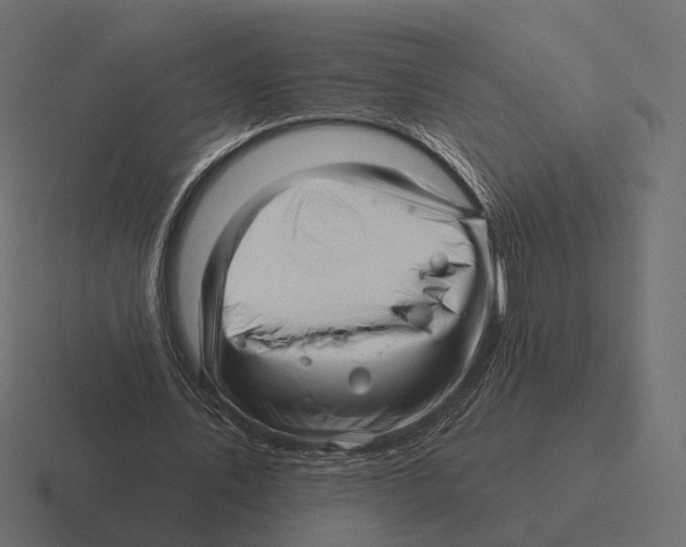 X0000116300579200912291433