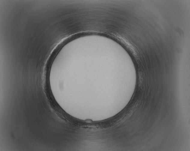 X0000116300580200912291433