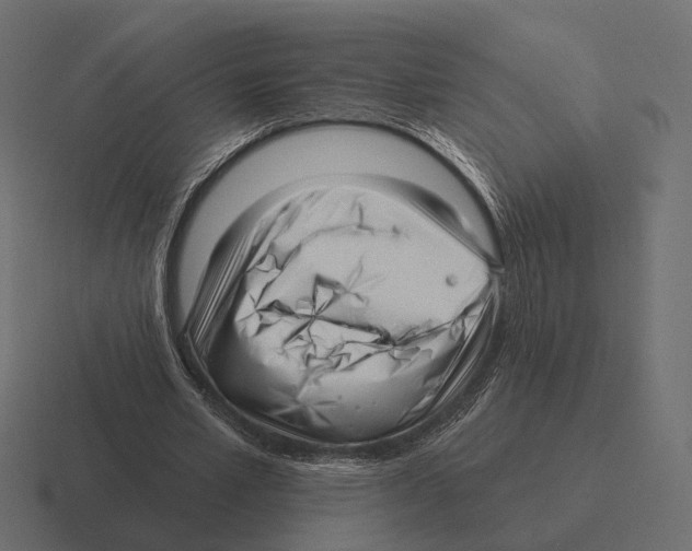 X0000116300581200912291433