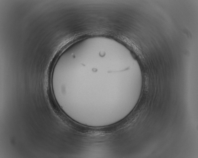 X0000116300582200912291433