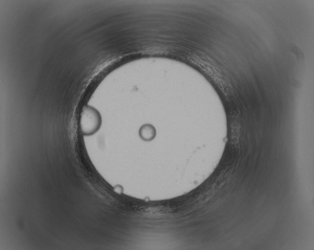 X0000116300584200912291433