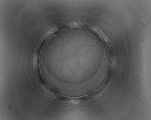 X0000116300585200912291433