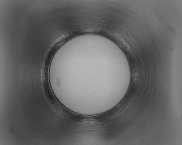 X0000116300591200912291433