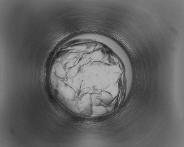 X0000116300592200912291433