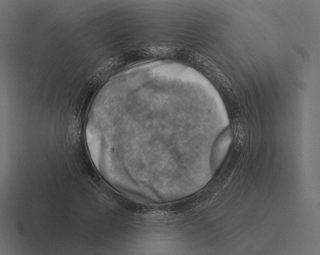 X0000116300593200912291433