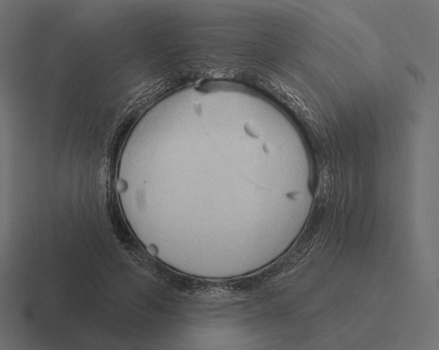 X0000116300594200912291433