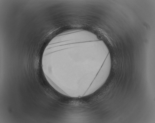 X0000116300596200912291433