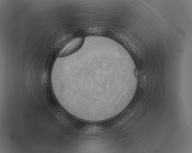 X0000116300597200912291433