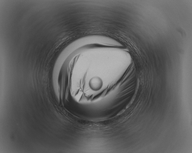 X0000116300599200912291433