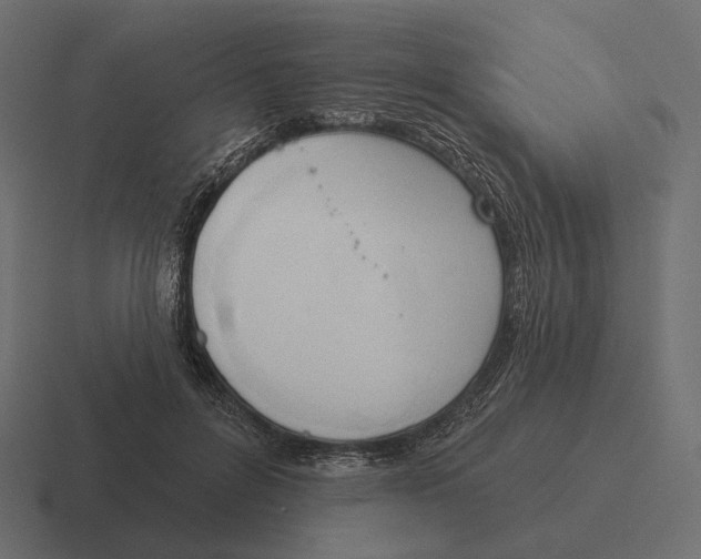 X0000116300600200912291433