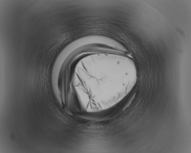 X0000116300601200912291433