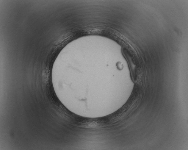 X0000116300604200912291433