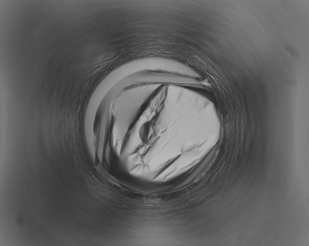 X0000116300605200912291433