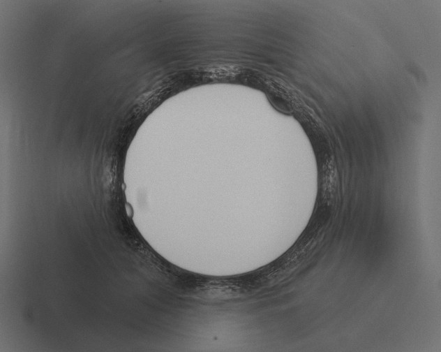 X0000116300608200912291433