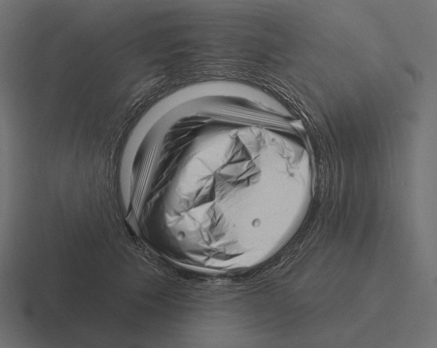 X0000116300609200912291433