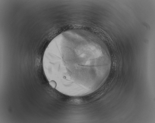 X0000116300610200912291433