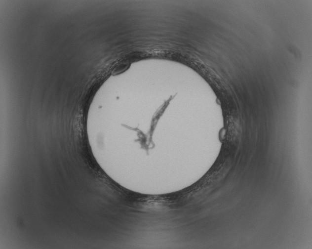 X0000116300612200912291433