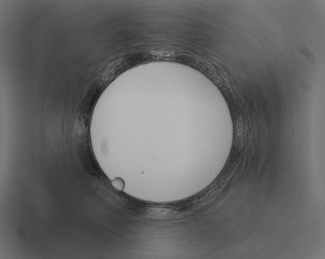 X0000116300614200912291433