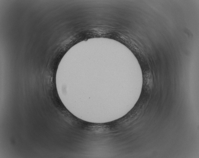 X0000116300615200912291433