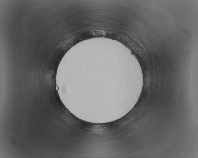 X0000116300616200912291433