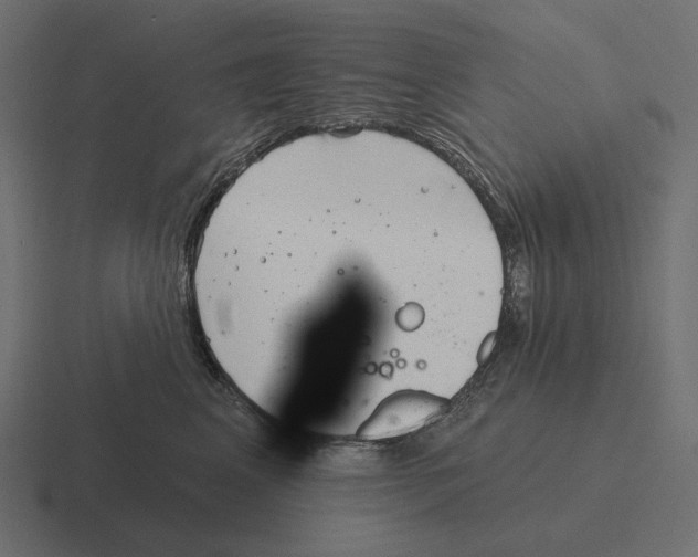 X0000116300617200912291433