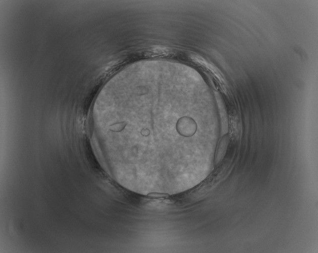 X0000116300621200912291433