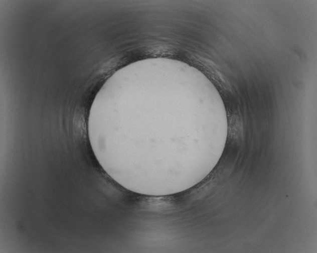 X0000116300622200912291433