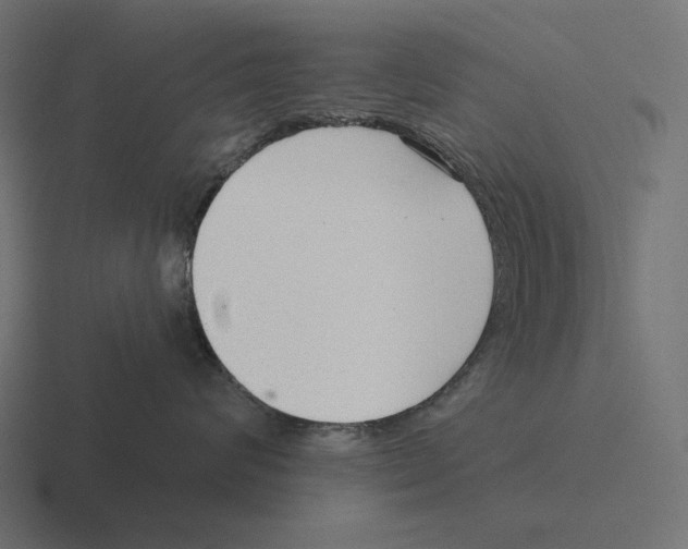 X0000116300624200912291433