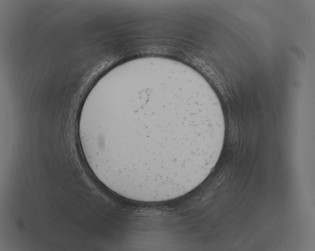 X0000116300625200912291432