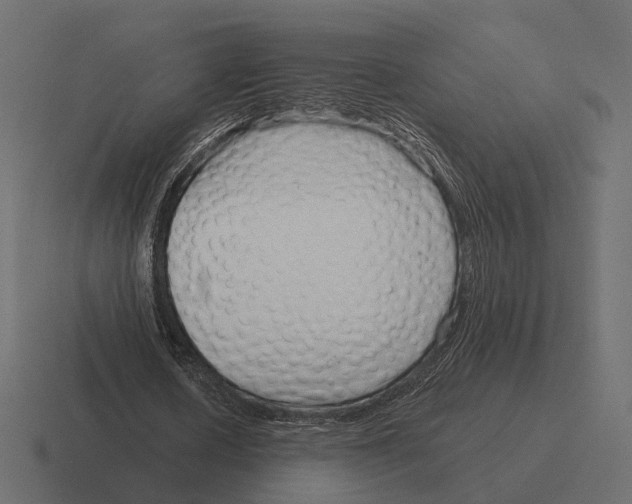 X0000116300626200912291432