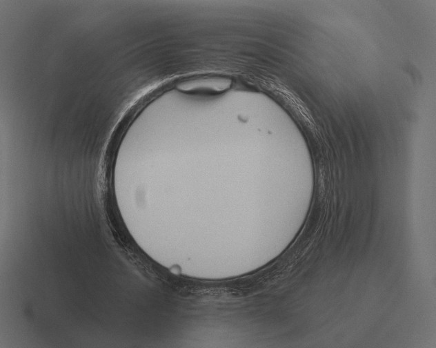 X0000116300628200912291432