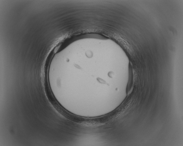 X0000116300630200912291432