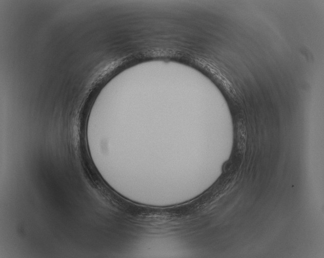 X0000116300631200912291432