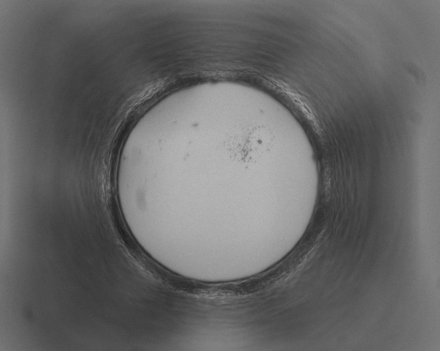 X0000116300633200912291432