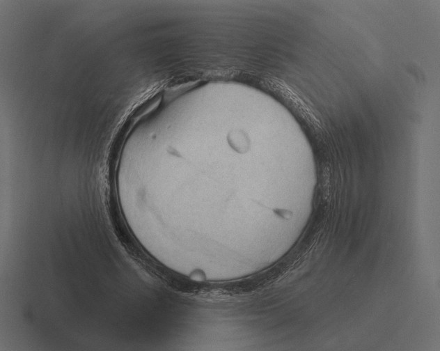 X0000116300634200912291432