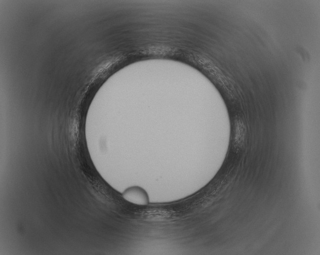 X0000116300636200912291432