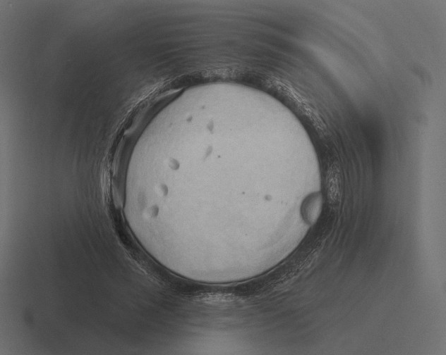 X0000116300637200912291432