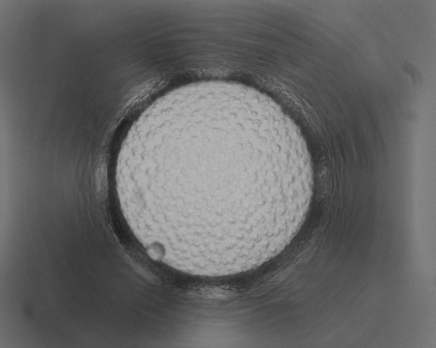 X0000116300638200912291432