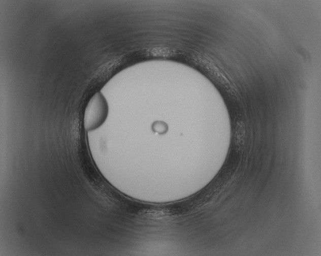 X0000116300639200912291432