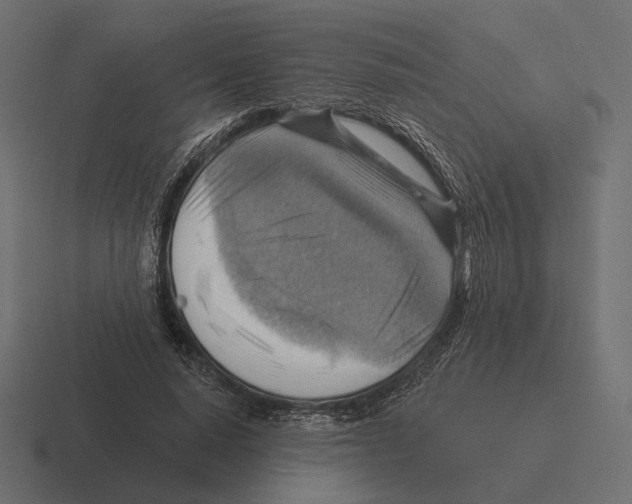 X0000116300640200912291432