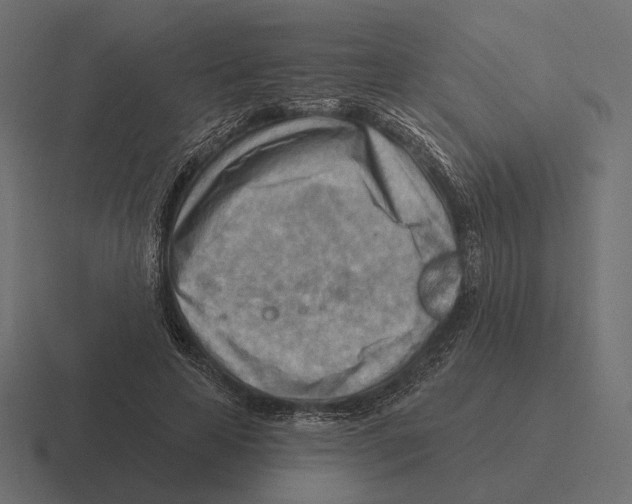 X0000116300641200912291432