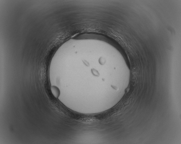 X0000116300642200912291432