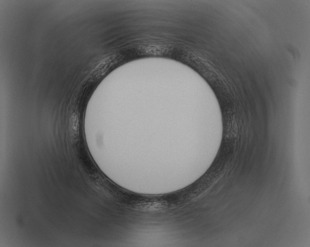 X0000116300646200912291432