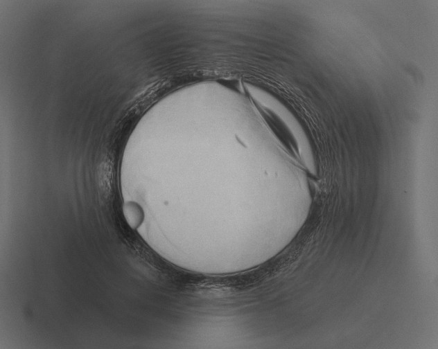 X0000116300648200912291432