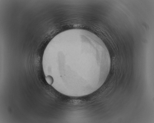 X0000116300650200912291432